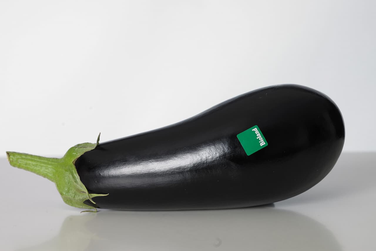 bio-aubergine