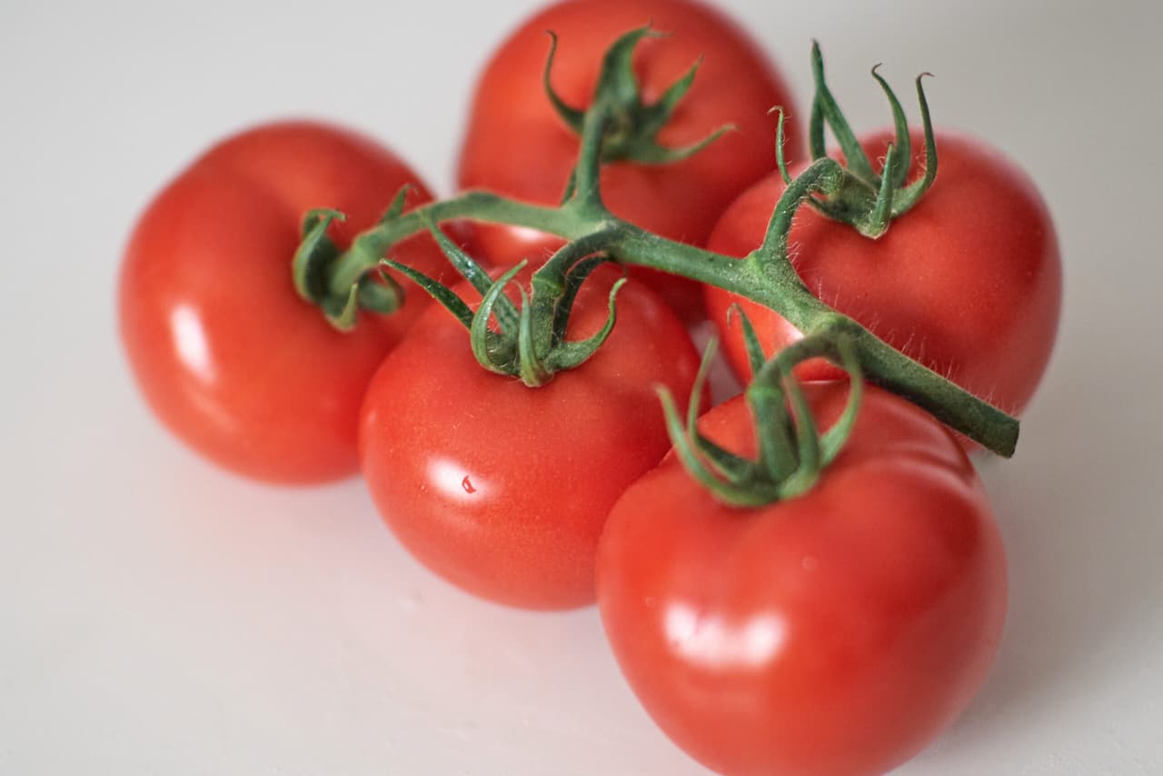 bio-tomaten